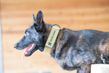 Load image into Gallery viewer, PVC Patches