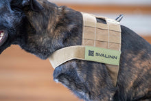 Load image into Gallery viewer, PVC Patches