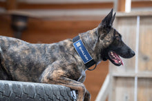 Load image into Gallery viewer, PVC Patches