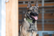 Load image into Gallery viewer, PVC Patches