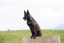 Load image into Gallery viewer, PVC Patches