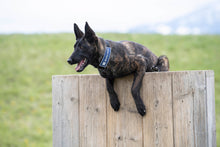 Load image into Gallery viewer, PVC Patches